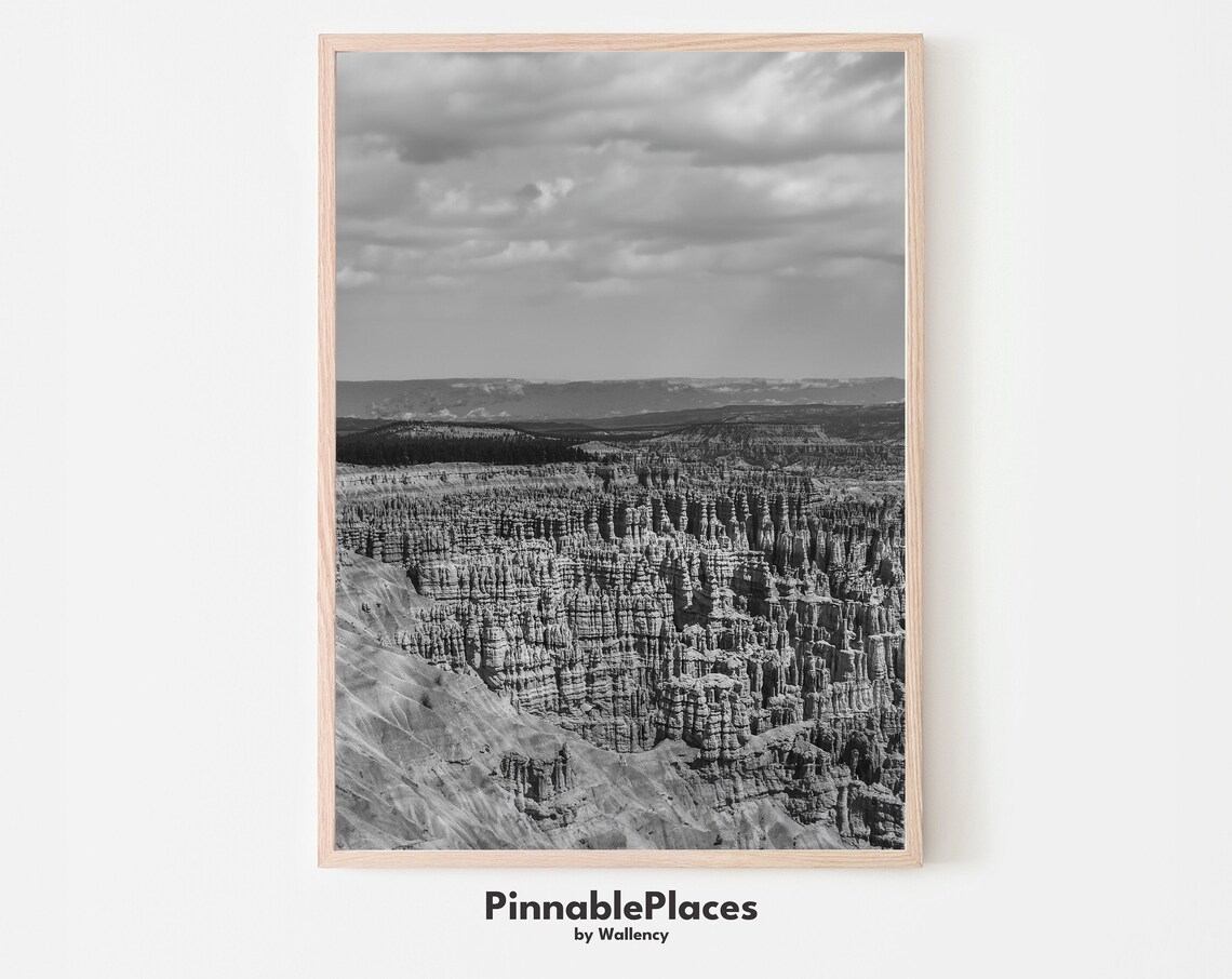 Bryce Canyon National Park Black And White Photo Print With Hoodoos