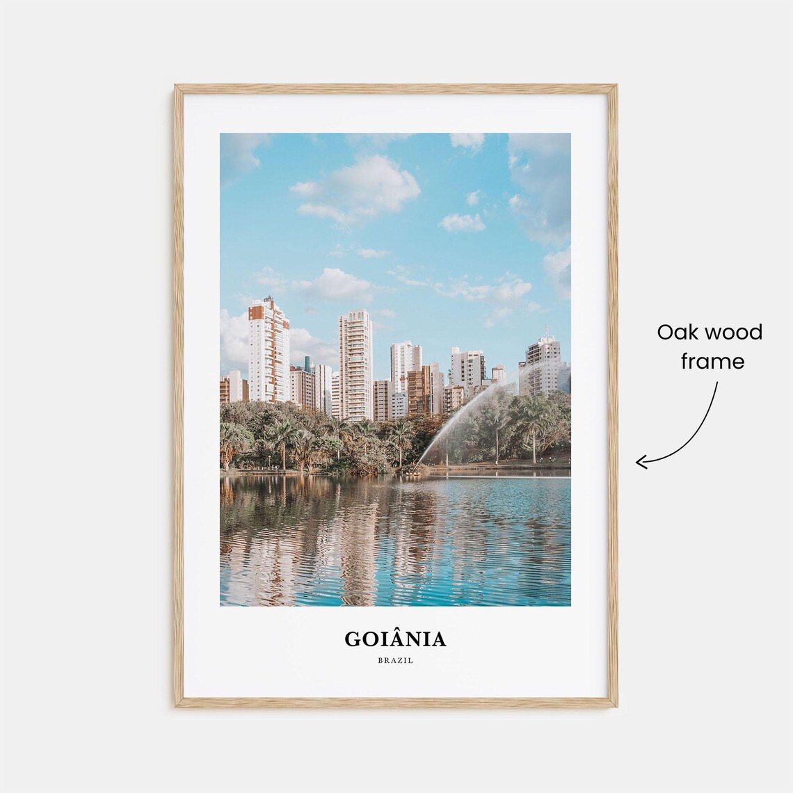 Goiania Brazil City Skyline Lake Fountain Reflection Photo Poster - Image 3