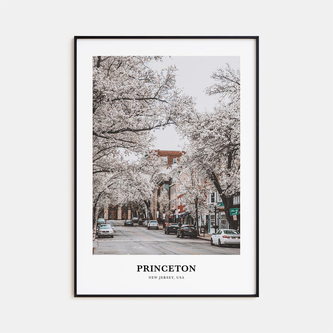 Princeton New Jersey USA Cherry Blossom Street Spring Photo Print