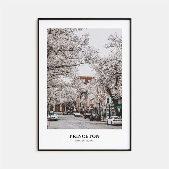 Princeton Print Princeton Photo Poster Princeton Travel Wall Art Princeton Map Print Princeton Photography Print New Jersey Usa