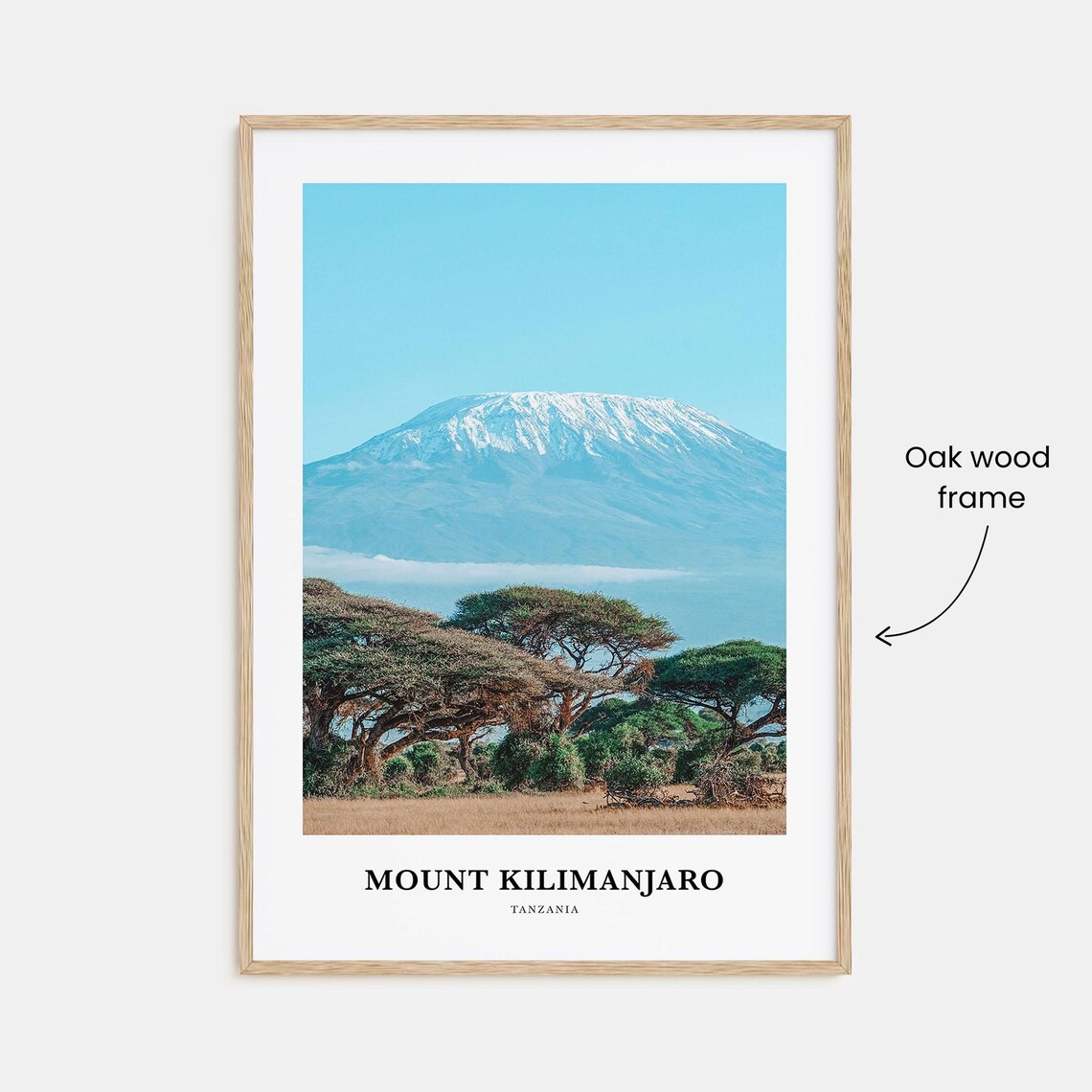 Mount Kilimanjaro Snow Peak Savannah Africa Landscape Travel Poster - Image 3
