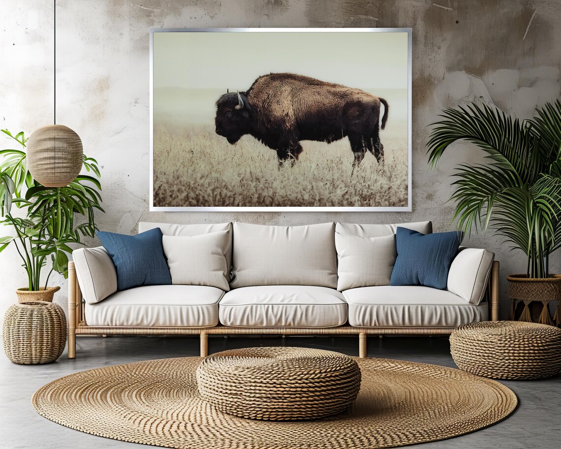 American Bison Standing In Prairie Grass Western Wildlife Poster - Image 3
