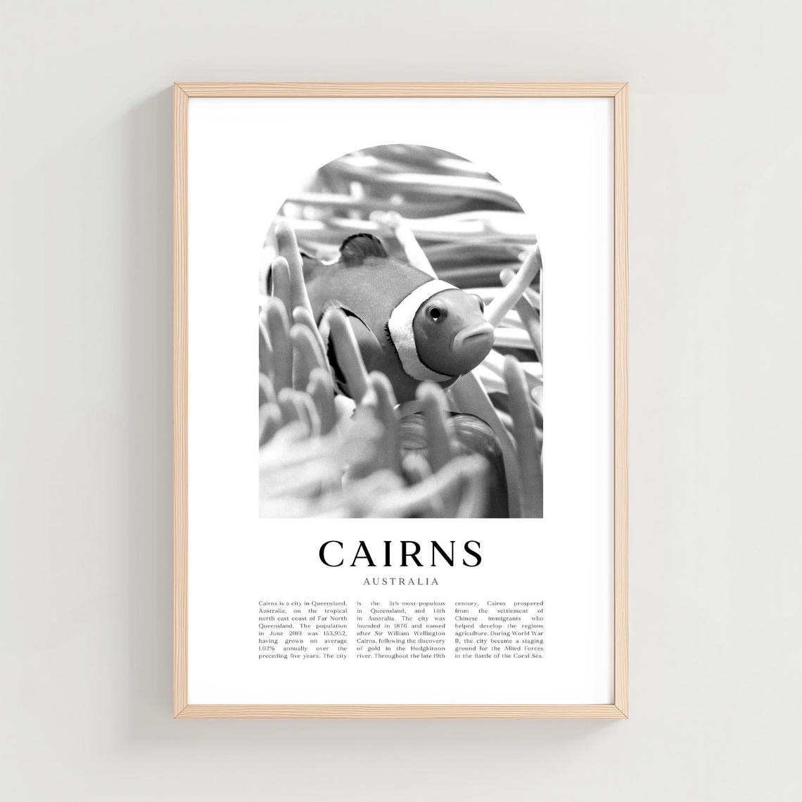 Cairns Australia Black and White Clownfish Photography Poster