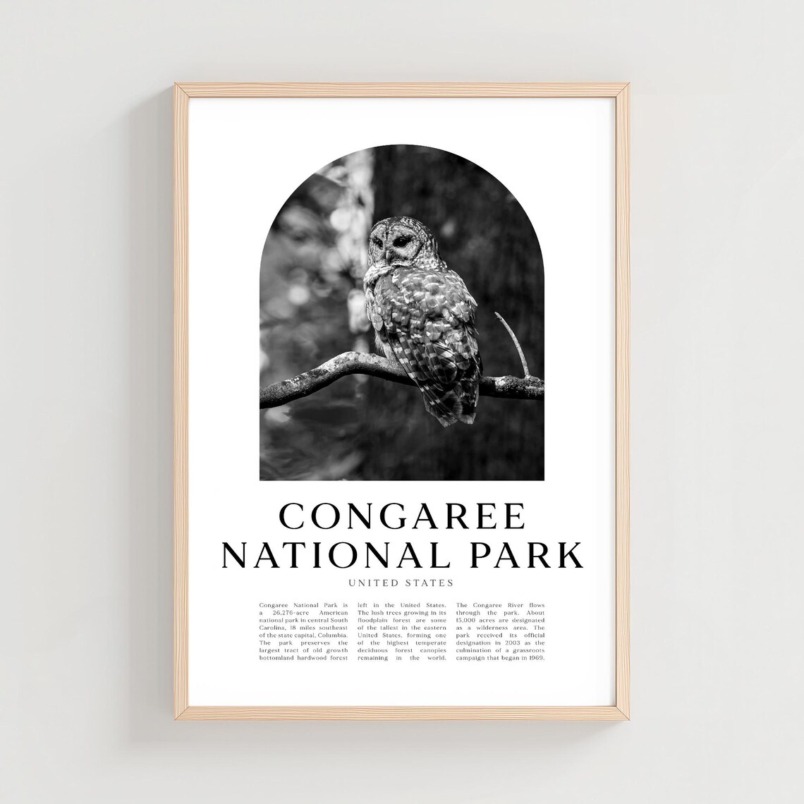 Congaree National Park Barred Owl Forest Black White Photo Poster