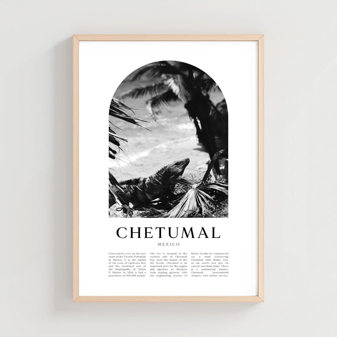 Chetumal Mexico Iguana Palm Wildlife Black and White Travel Poster