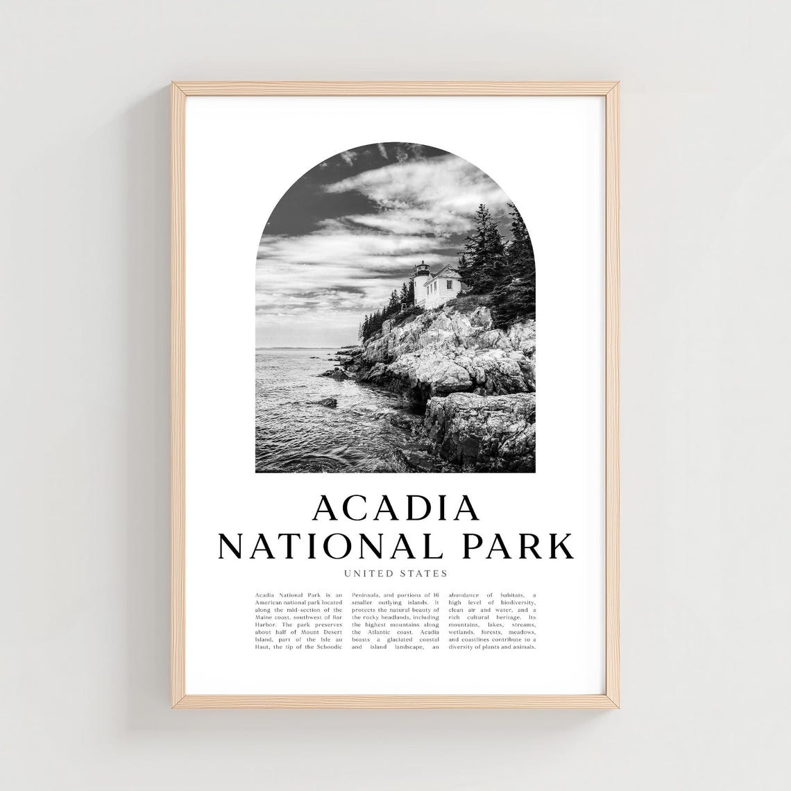 Acadia National Park Rocky Coast Lighthouse Black and White Poster
