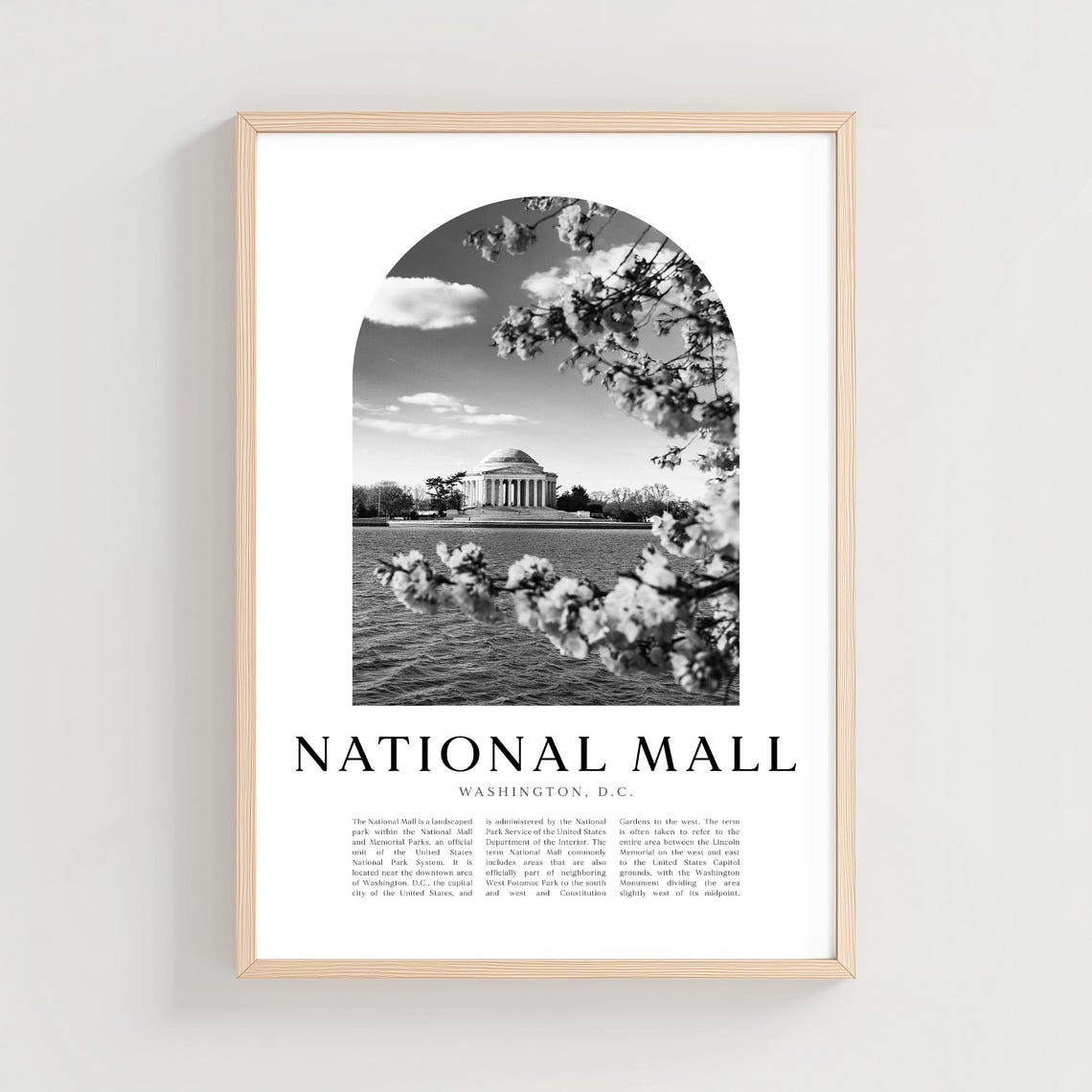 National Mall Washington DC Cherry Blossoms Monument Photo Poster
