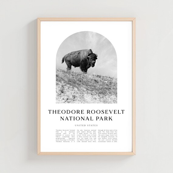 Theodore Roosevelt National Park Bison Black White Travel Poster