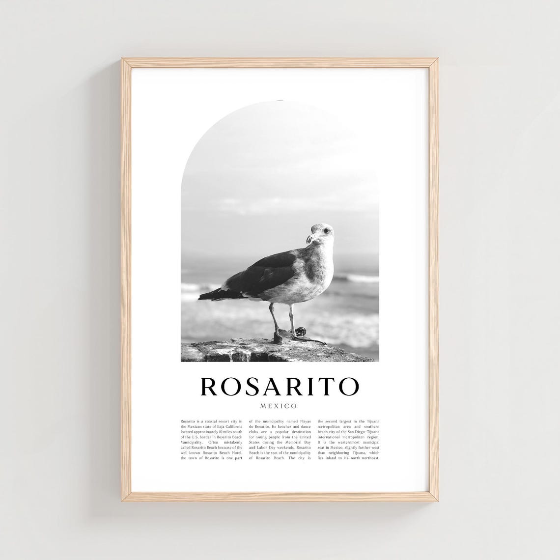 Rosarito Mexico Seagull Beach Black and White Photography Poster