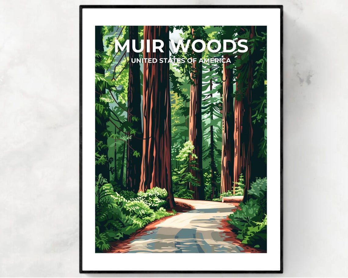 Muir Woods California Towering Redwood Forest Retro Travel Poster