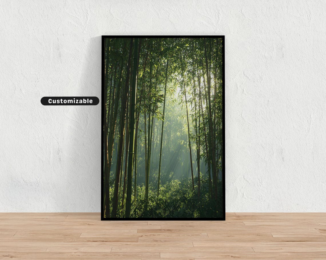 Peaceful Bamboo Forest With Filtered Sunlight And Soft Shadows Japanese Wall Art Print Zen Asian Decor