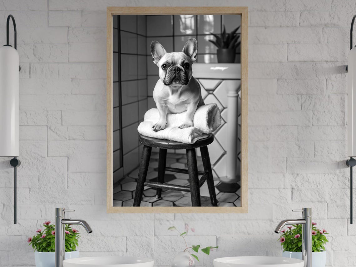 French Bulldog Sitting on a Towel in a Vintage Bathroom Photo Poster