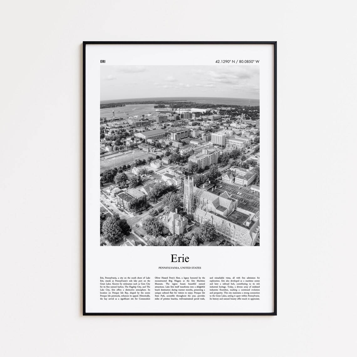 Erie Black and White Aerial Lakeside City Shoreline Photo Poster