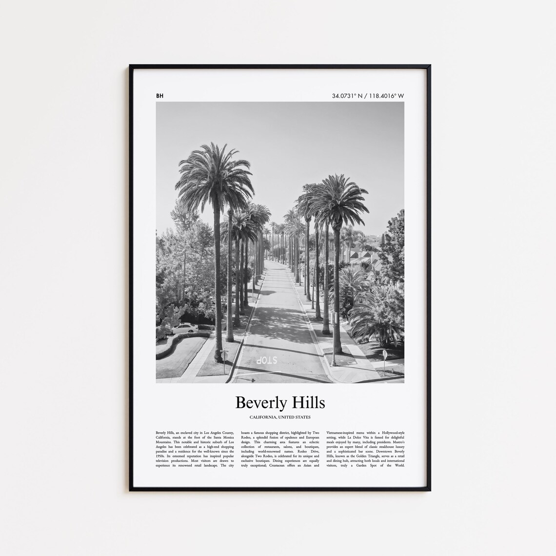 Beverly Hills California Palm Tree Street Black And White Photo Poster
