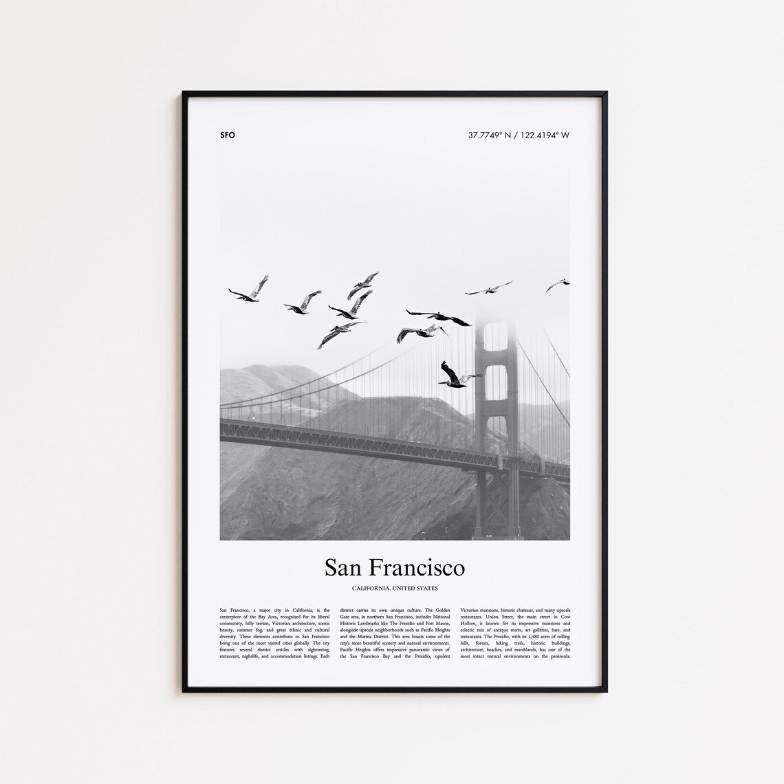 San Francisco Golden Gate Bridge Birds Black White Photo Poster
