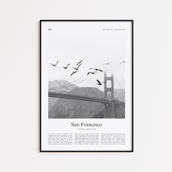 San Francisco Golden Gate Bridge Birds Black White Photo Poster