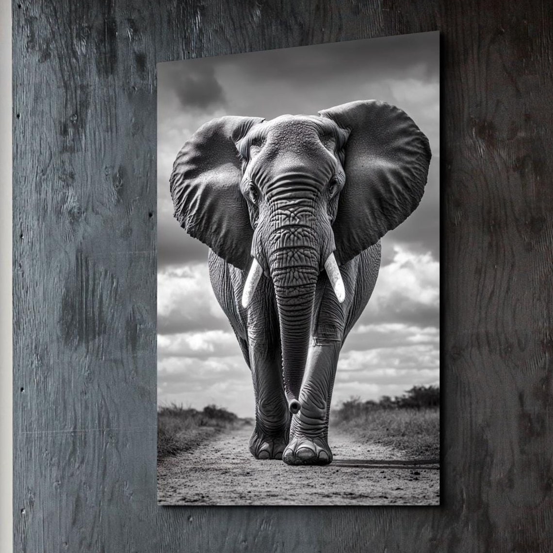 Black And White Elephant Art Print