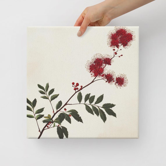 Calliandra Plant Painting Print Large Wall Art Beige Wall Art Red Wall Art Tropical Plant Art Calliandra Flower Art Print