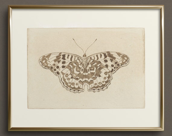 Monarch Butterfly Sketch Fine Art Print Butterfly Art Neutral Wall Art Vintage Butterfly Art Prints Cottagecore Wall Art Da26