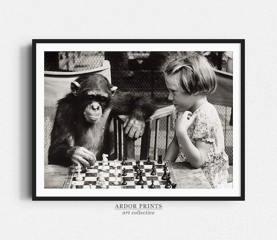 Chimpanzee Playing Chess With Little Girl Vintage Black And White Photo Poster