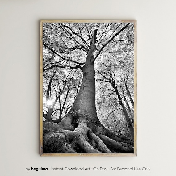 Forest Tree Wall Art Landscape Nature Photo Print