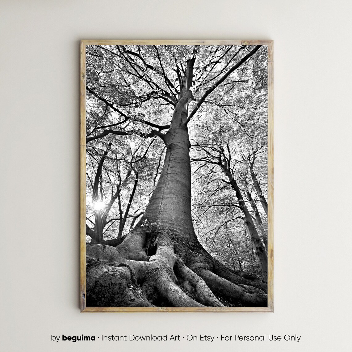 Forest Tree Wall Art Landscape Nature Photo Print