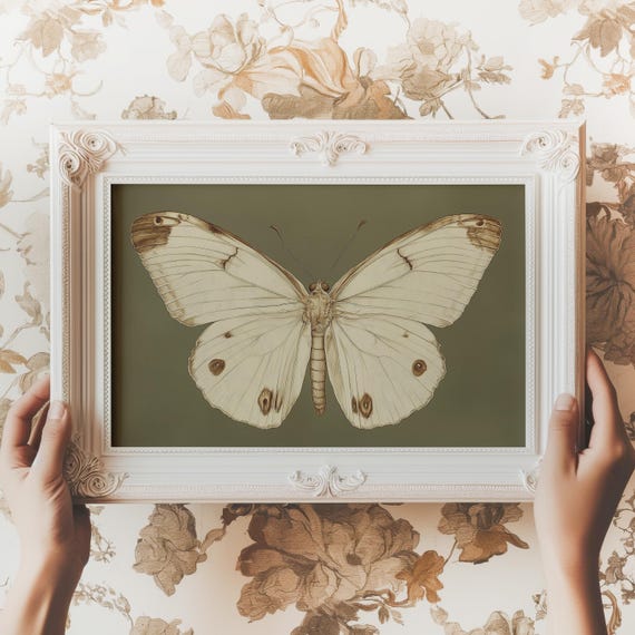 Vintage White Butterfly Print Dark Moody Insect Wall Art Antique Moth Painting Cottagecore Sage Green Decor