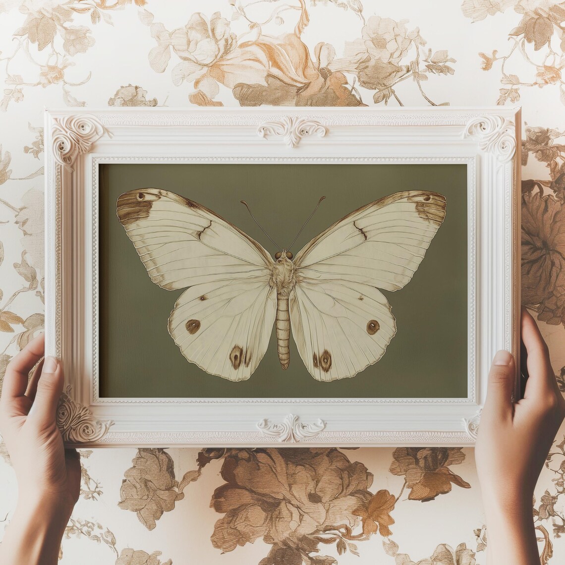 White Butterfly Vintage Entomology Dark Olive Moody Insect Wall Art
