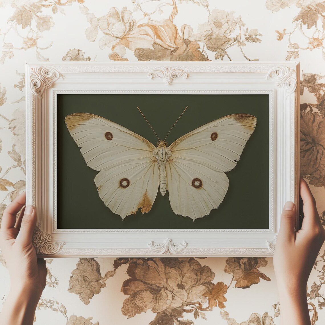 Vintage White Butterfly Print Moody Dark Insect Wall Art Moth Painting Cottagecore Decor