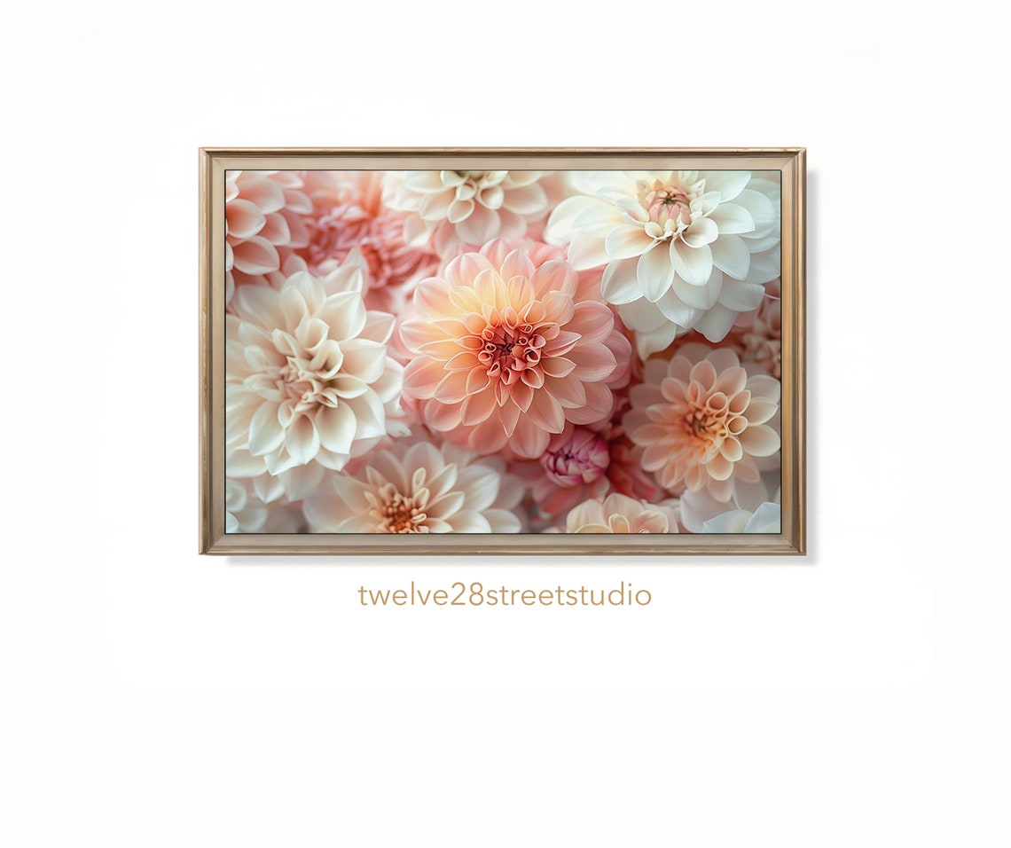 Blush Pink Dahlias Spring Floral Close-Up Botanical Garden Poster