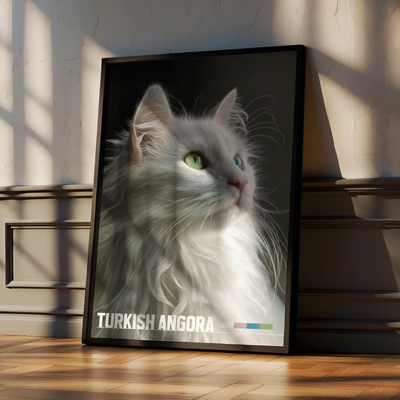 Turkish Angora Framed Poster Elegant Cat Wall Art For Nursery Or Kids Room