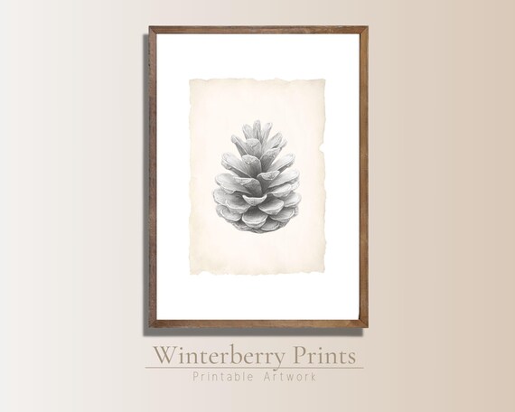 Vintage Pine Cone Pencil Drawing Aged Paper Rustic Winter Wall Art