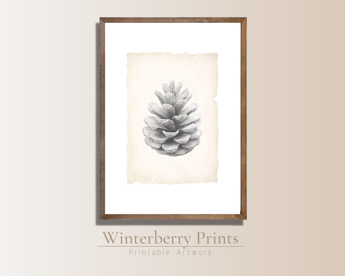 Vintage Pine Cone Pencil Drawing Aged Paper Rustic Winter Wall Art