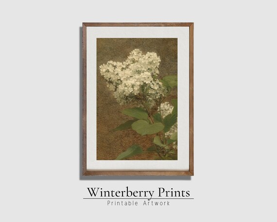 White Lilac Botanical Vintage Oil Painting Branch Portrait Poster