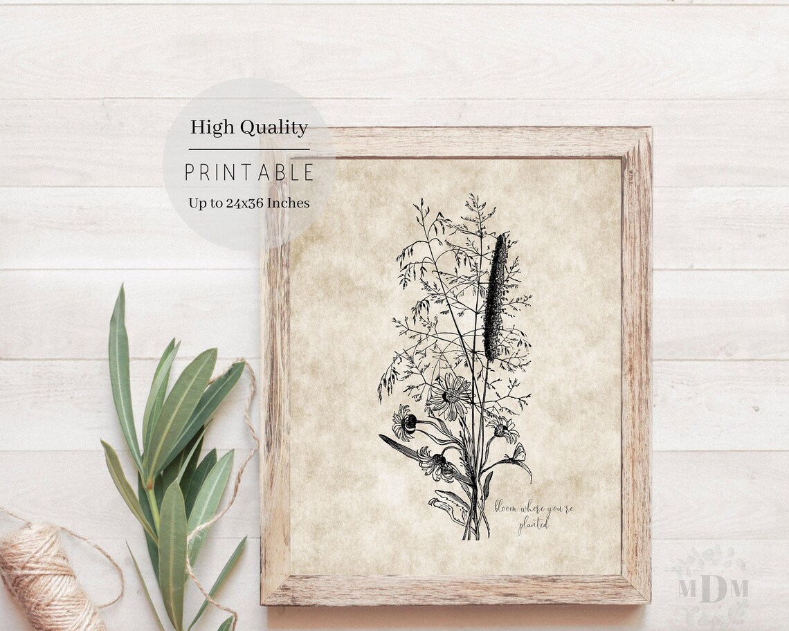 Vintage Wildflower Botanical Illustration Bloom Where Youre Planted Print - Image 4