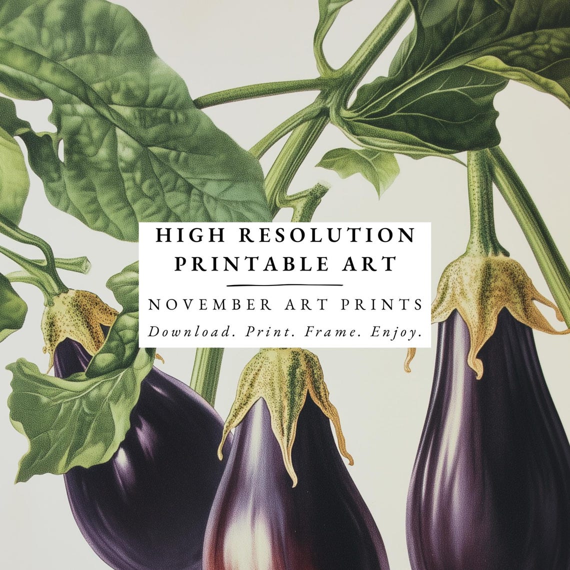 Vintage Eggplant Print Retro Kitchen Decor Aubergine Lithograph Vegetable Kitchen Artwork Restaurant Wall Art Melanzana Poster - Image 4