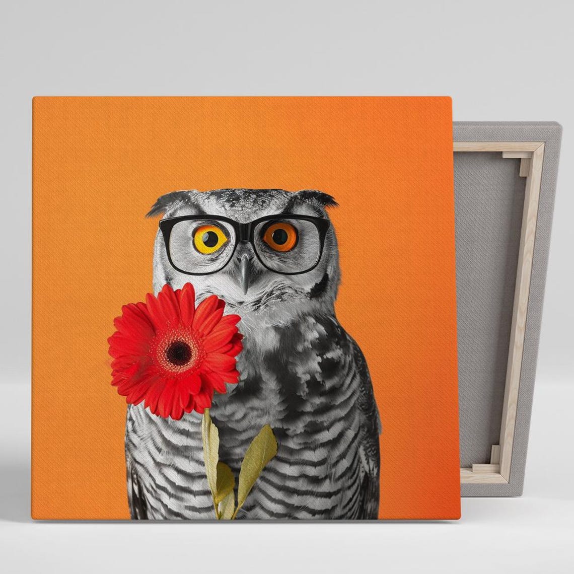 Owl In Glasses Holding Red Flower On Bold Orange Background Poster
