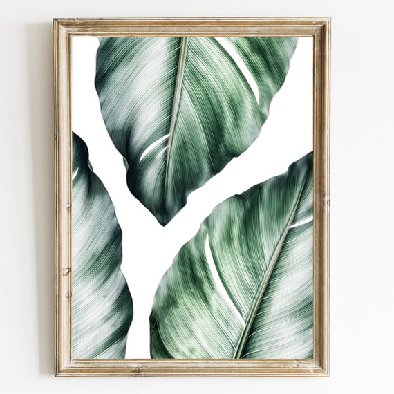 Banana Leaf Print Tropical Wall Art Banana Leaves Print Banana Leaf Tropical Tropical Print