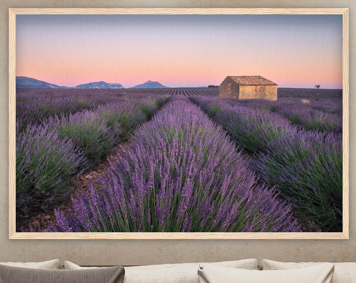 Provence Lavender Rows Dusk Pink Sky Stone Hut France Poster