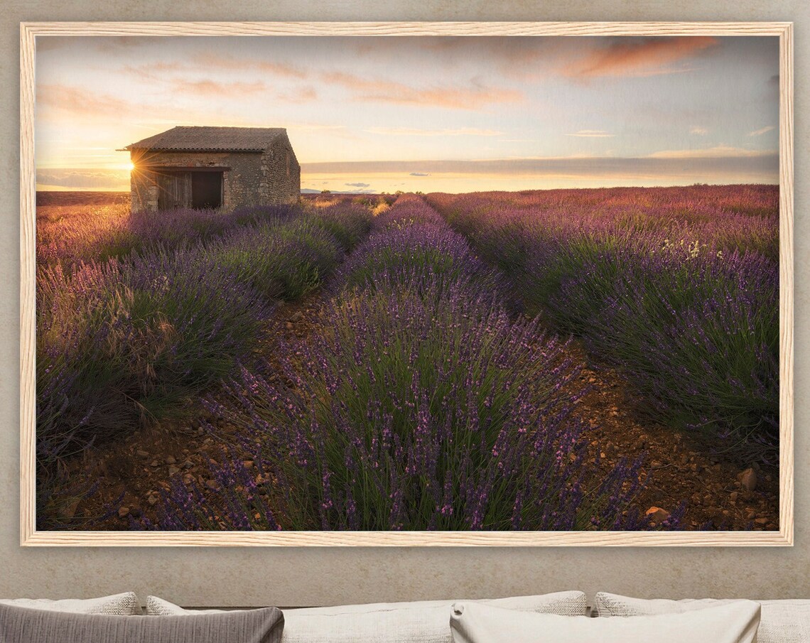 Provence Lavender Field Sunset Stone Hut France Countryside Poster