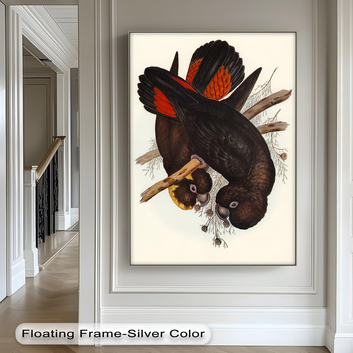 Vintage Red Tailed Black Cockatoo Naturalist Bird Illustration Poster