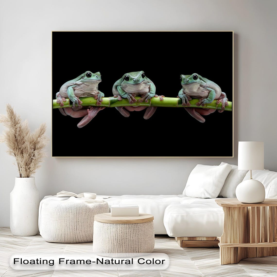 Three Tree Frogs Bamboo Stem Black Background Nature Closeup Poster