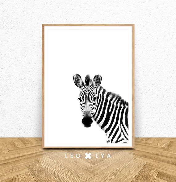 Zebra Portrait Black and White Wildlife Photo Poster for Nursery Decor