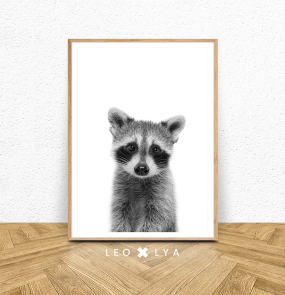 Raccoon Print, Black And White Woodland Nursery Art