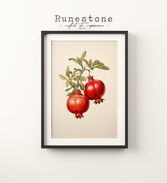 Vintage Pomegranate Sketch Tropical Fruit Boho Wall Art Minimalist Bohemian Hand Drawn Nature Print
