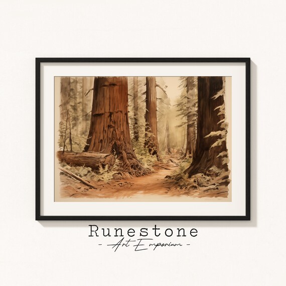 Vintage Redwood Forest Sketch Giant Sequoia Trees Antique Nature Poster