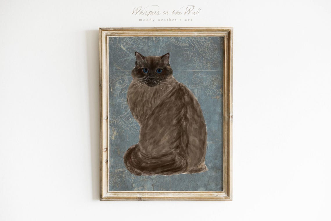 Fluffy Brown Longhair Cat Blue Eyes Vintage Damask Style Poster
