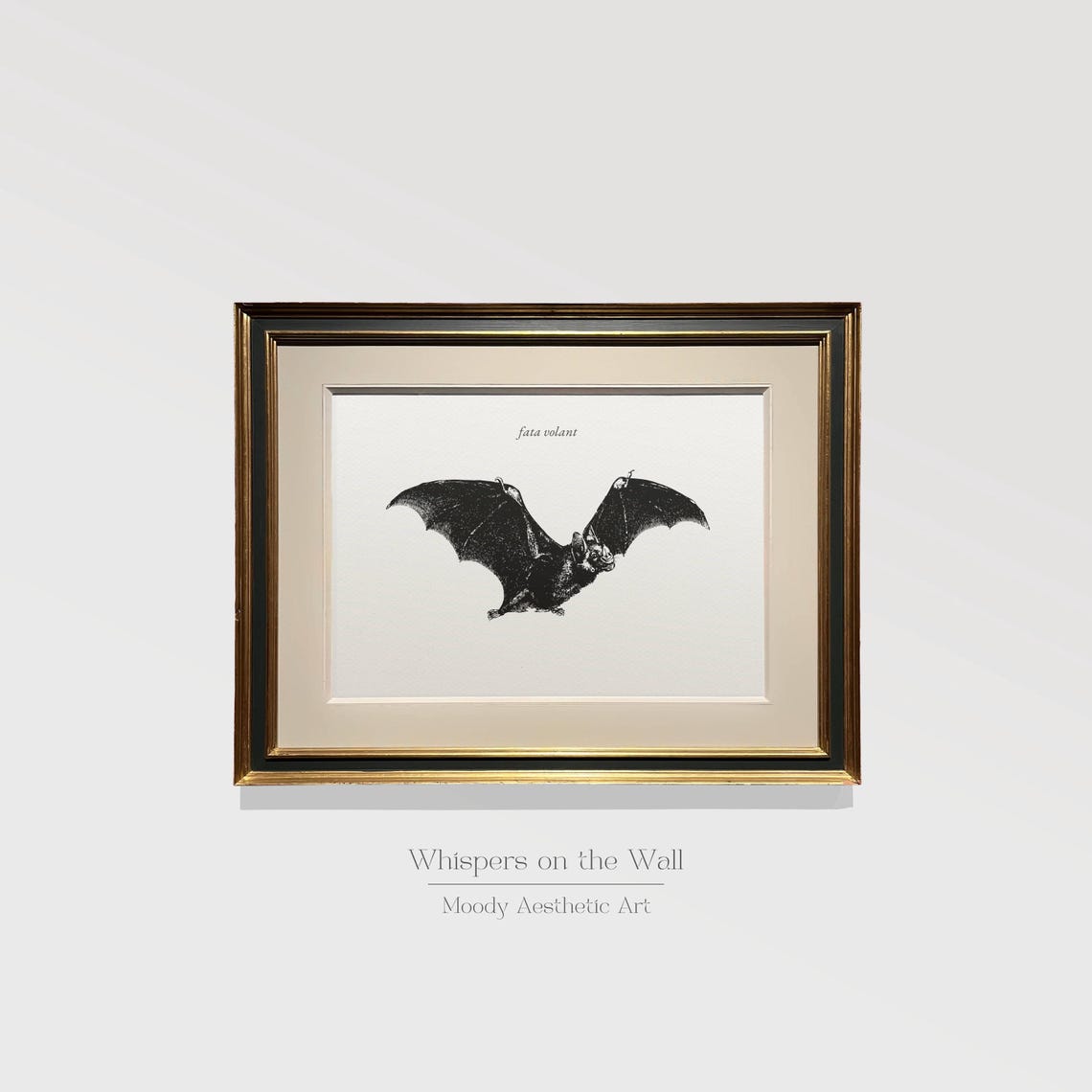 Fata Volant Vintage Bat Engraving Spooky Halloween Naturalist Poster - Image 3