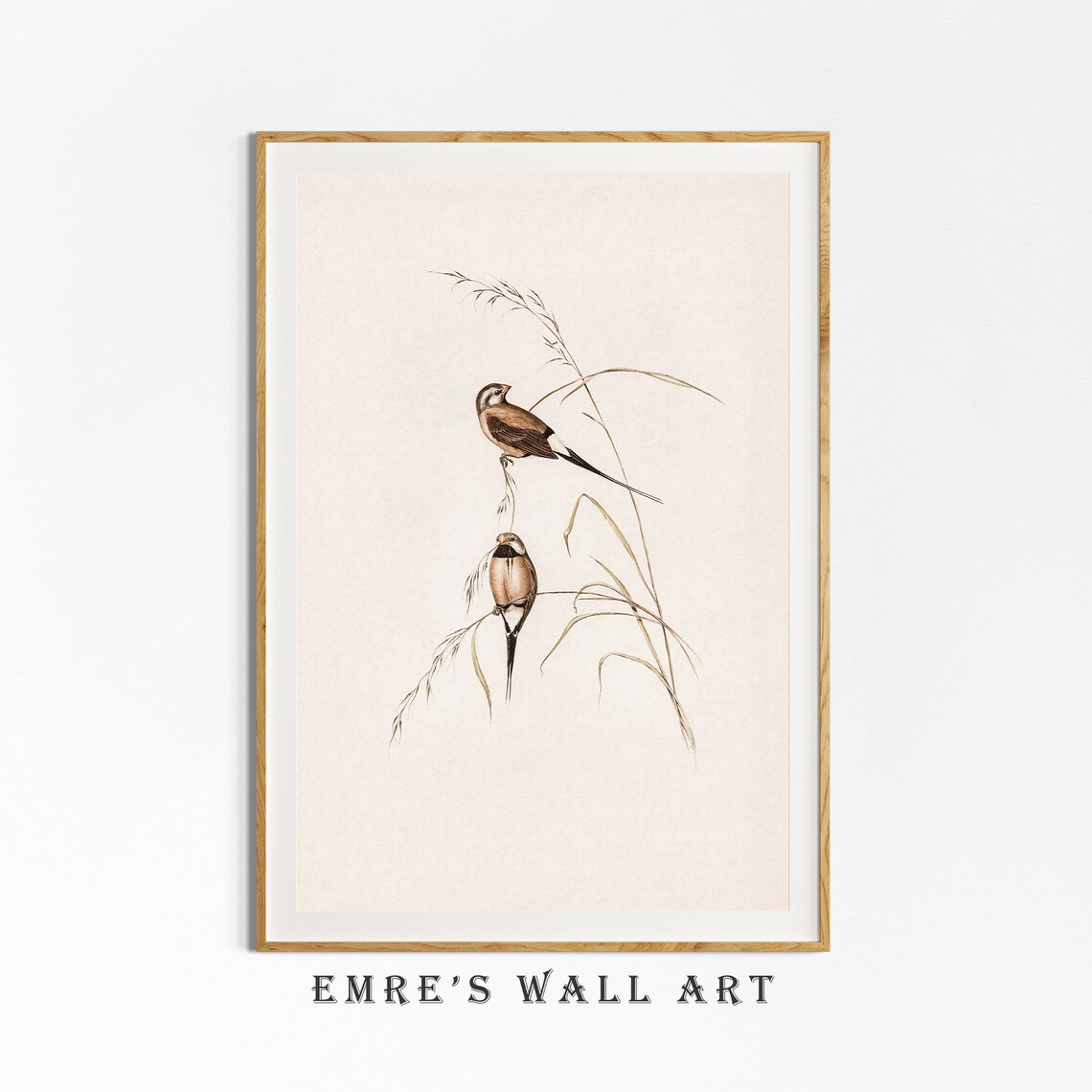 Vintage Bird Drawing Art Print, Nursery Decor - Image 4