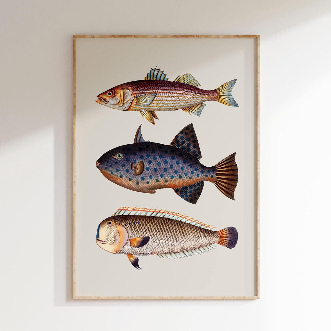 Vintage Style Fish Art Kitchen Wall Art Gallery Wall Art - Image 4